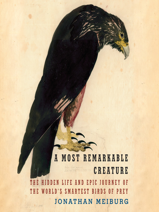 Title details for A Most Remarkable Creature by Jonathan Meiburg - Available